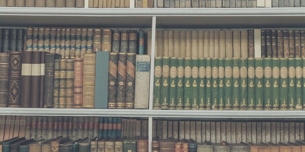 Neues vom Bücherberg