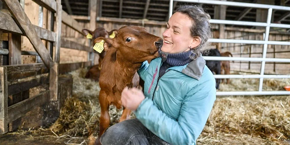 Solidarische Landwirtschaft Hof Vorberg