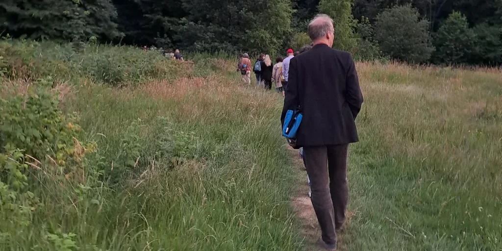 Wie findet Ihr das Stadtgrün?