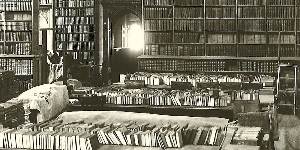 Neues vom Bücherberg!
